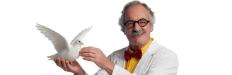 Doctori